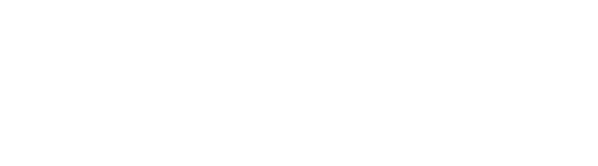 White 56 LS Logo